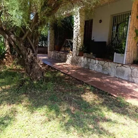 House In Garden *